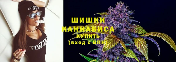 индика Богданович