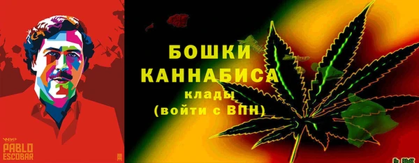 шишки Бикин