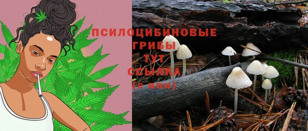 прущая мука Надым