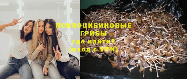 spice Навашино