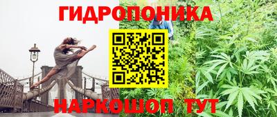 бошки Камышлов