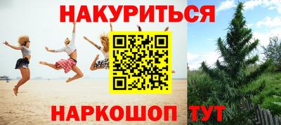 spice Кандалакша