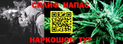 бошки Камышлов