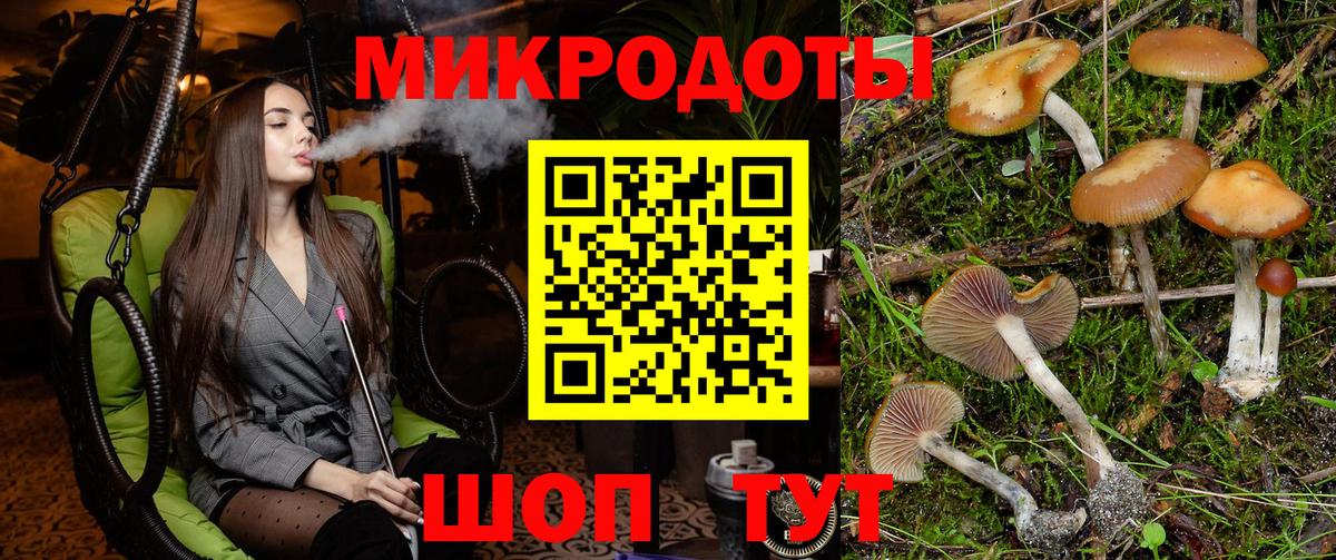Галлюциногенные грибы MAGIC MUSHROOMS Скопин