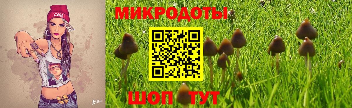 Галлюциногенные грибы MAGIC MUSHROOMS  Вход с VPN  Скопин 